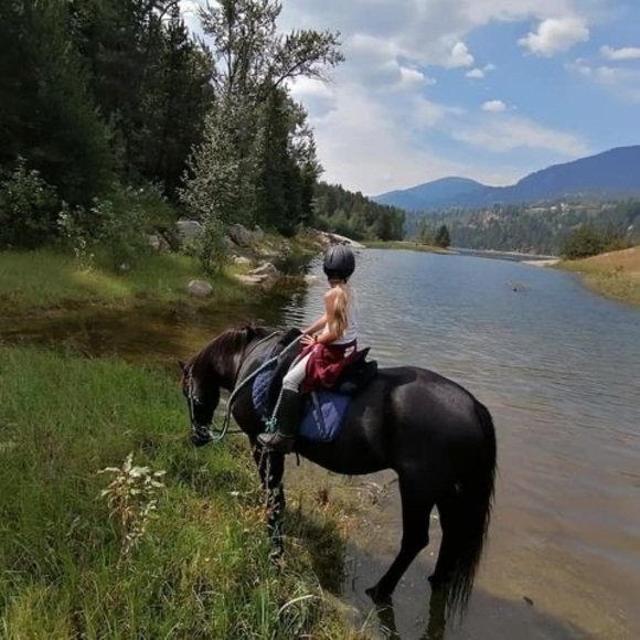 Meet your Posher, Rory - Picture 1 of 1